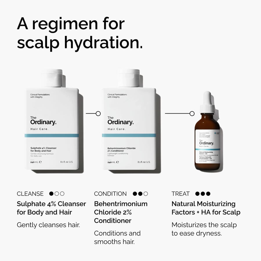 natural-moisturizing-factors-ha-for-scalp-v4 FY25-D41247-ORD-Web-PDP-NMF-HA-Scalp-1x1-EN-5.jpg